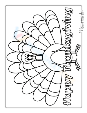 Colorful Turkey Illustration
