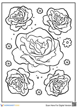 Beautiful Roses
