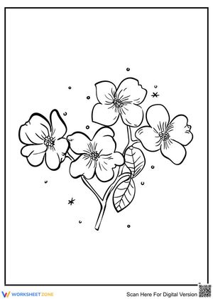 A lovely bunch of flowers
