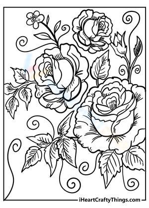Flourishing Roses