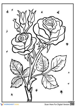 Wild roses