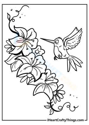 Flowers and the hummingbird