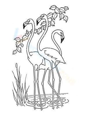 A Flock of Flamingo Worksheet