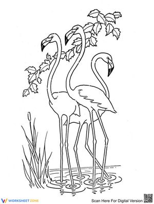 A Flock of Flamingo Worksheet