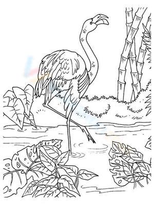 Flamingo and Beautiful Landscape Worksheet