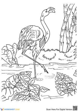 Flamingo and Beautiful Landscape Worksheet