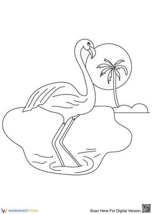 Flamingo on a Small Island Worksheet