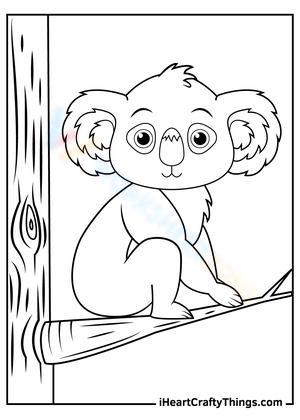 Koala on a branch of tree