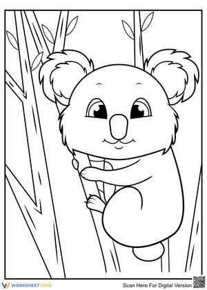 Lovely Koala