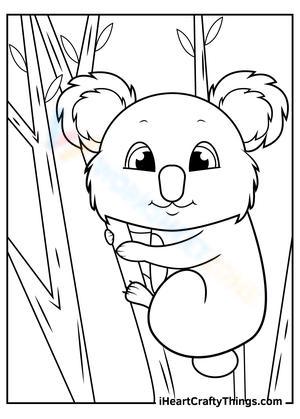 Lovely Koala