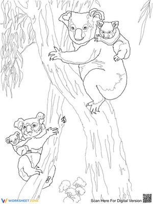 Koalas and babies