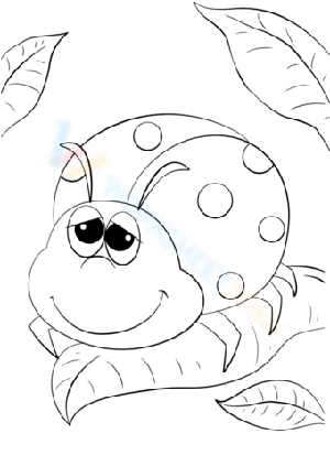 Cartoon Ladybug Drawing Worksheet