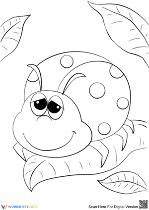 Cartoon Ladybug Drawing Worksheet