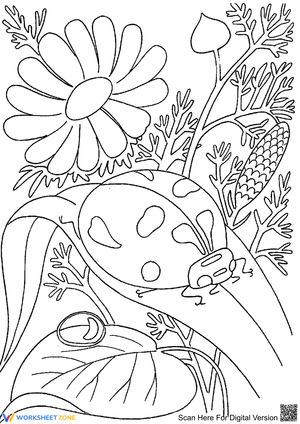 Ladybug among Flowers Nature Worksheet