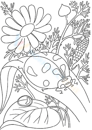 Ladybug among Flowers Nature Worksheet