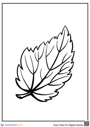 Great vein leaf