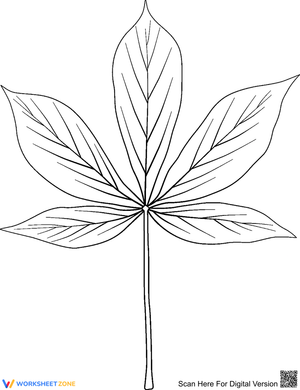 Yellow Buckeye Leaf 