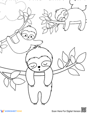 Three Sloth on the Tree