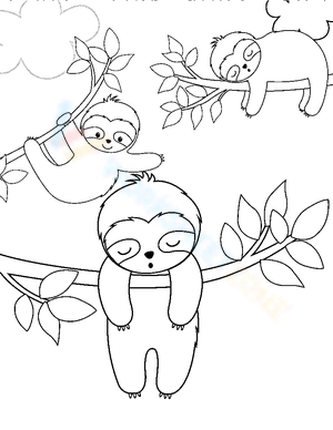 Three Sloth on the Tree