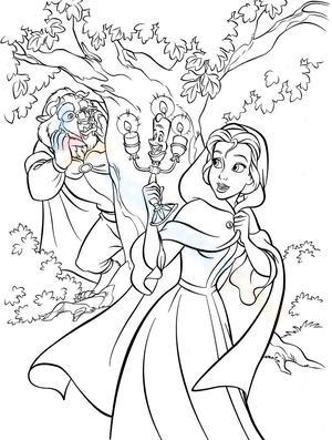 Belle And Lumière