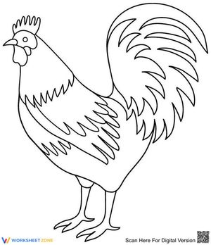 Rooster