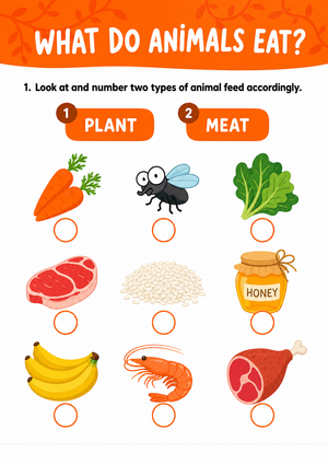 Essential Animal Diets Worksheet | Grade 1 Science