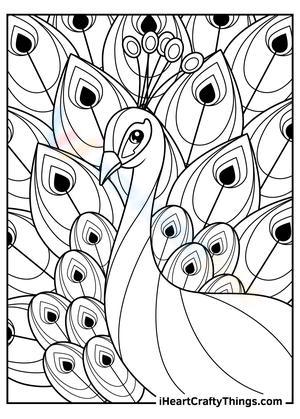 Gorgeous Peacock Illustration for Art Education