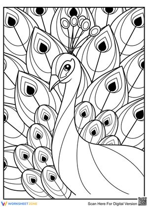 Gorgeous Peacock Illustration for Art Education
