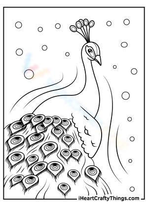 Delighted Peacock: An Engaging Art Project