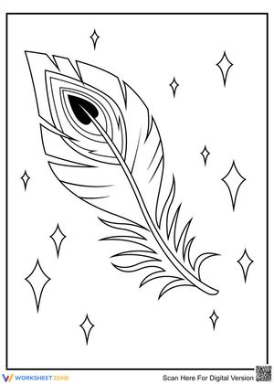 Wonderful Peacock Illustration for Art & Learning