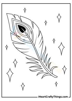 Wonderful Peacock Illustration for Art & Learning
