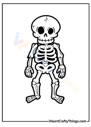 Simple skeleton