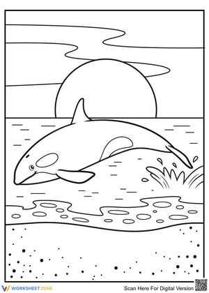 Adorable whale