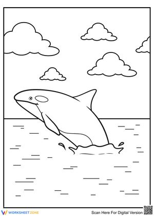 Lovely whale