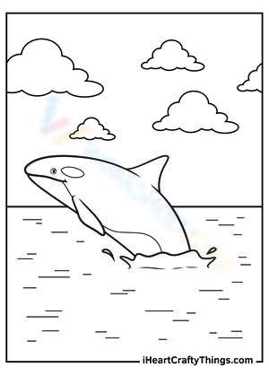 Lovely whale