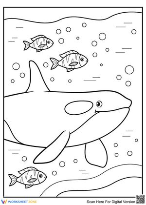 Whale & Friends: An Ocean Art Adventure