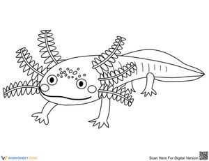 Funny Axolotl