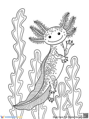 Axolotl Smiling