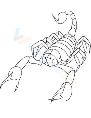 A Little Scorpion: Discovering Desert Creatures