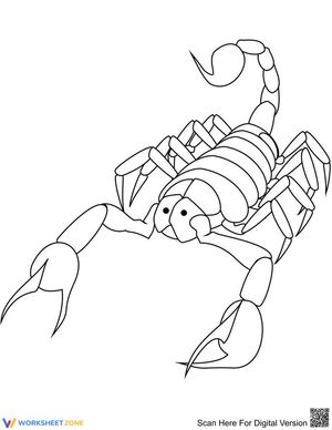 A Little Scorpion: Discovering Desert Creatures