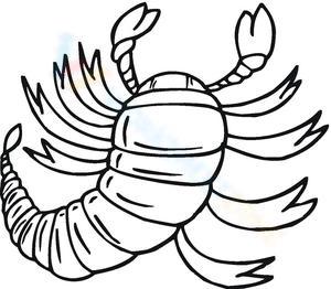 Fun Scorpion Themed Worksheet