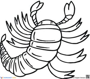 Fun Scorpion Themed Worksheet