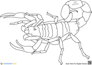 Creative Scorpion Activity Sheet