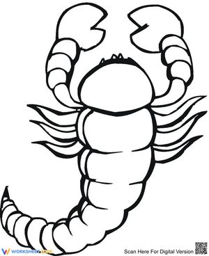 Scorpion From Above Worksheet