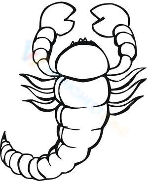 Scorpion From Above Worksheet