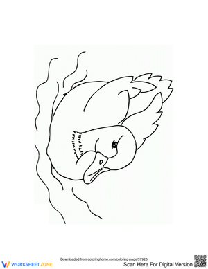Duck on the River Worksheet