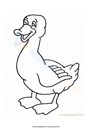 Funny duck