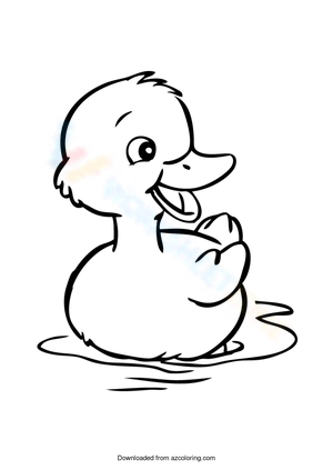 Cool Duck