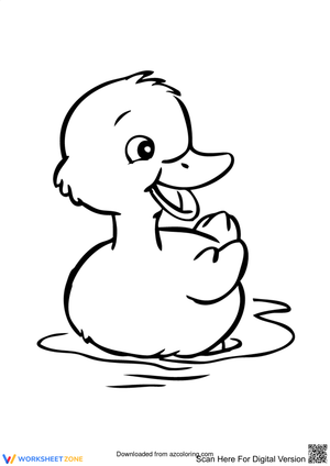 Cool Duck