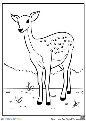 A cute deer